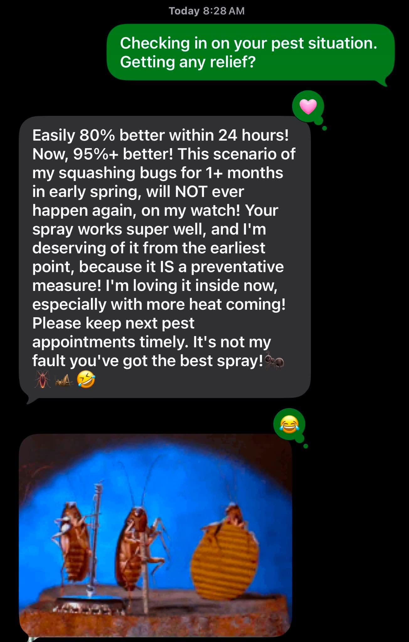 Customer results after pest treatment