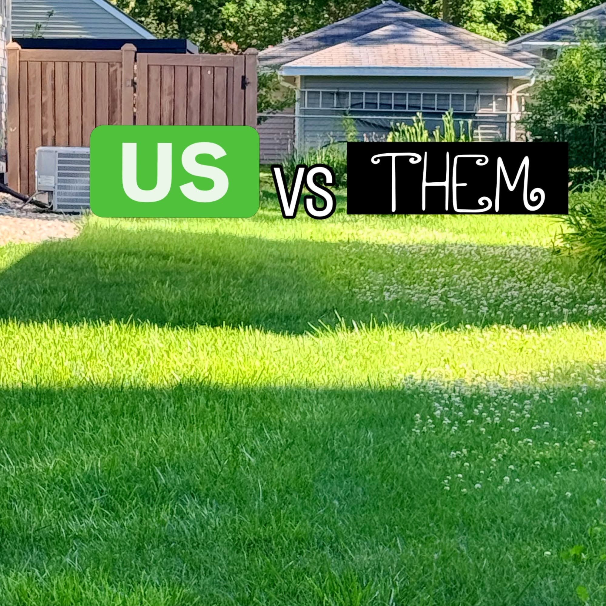 Healthy fertilized Midland lawn