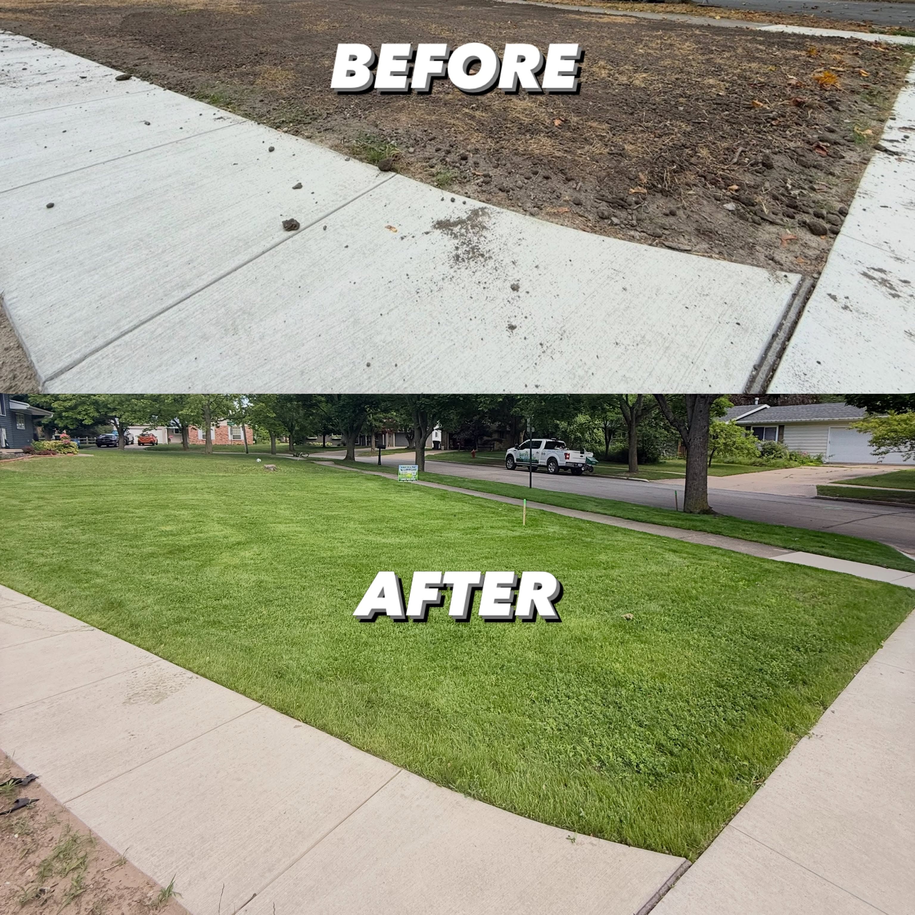 Thin lawn transformed after aeration and seeding